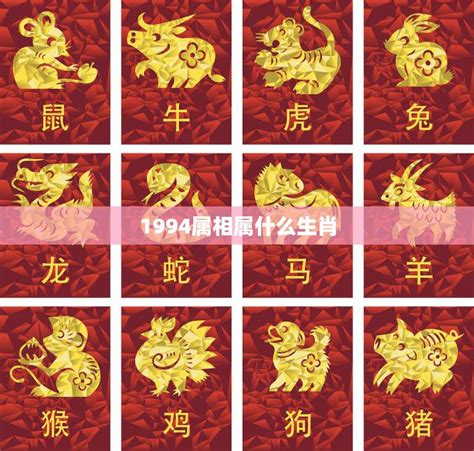 1994生肖|1994年属什么生肖配对 1994年和什么属相最配